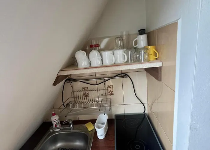 منزل للإقامة U Celiny *